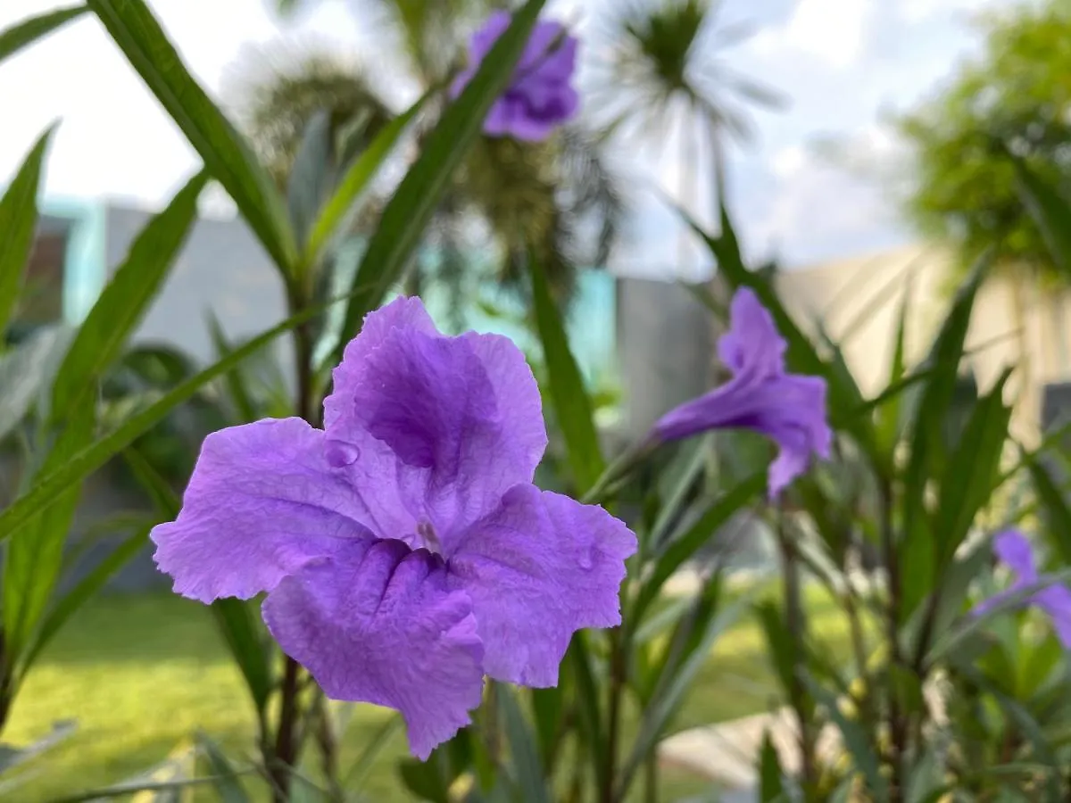 Holiday home The Hiijo Haus Private Pool & Garden Villa Johor Bahru